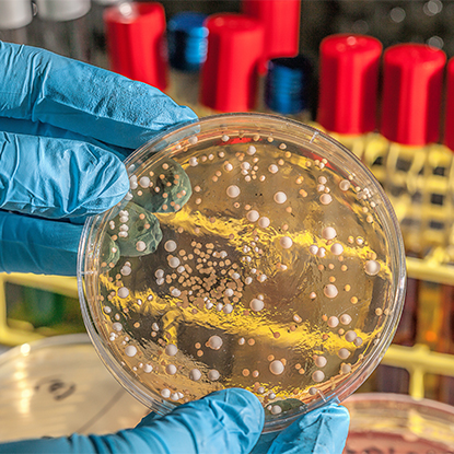 الصحة ومكافحة الأمراض